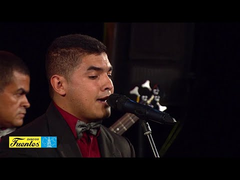 Loquito Por Ti - Fuentes All Stars (David Uribe) | Discos Fuentes