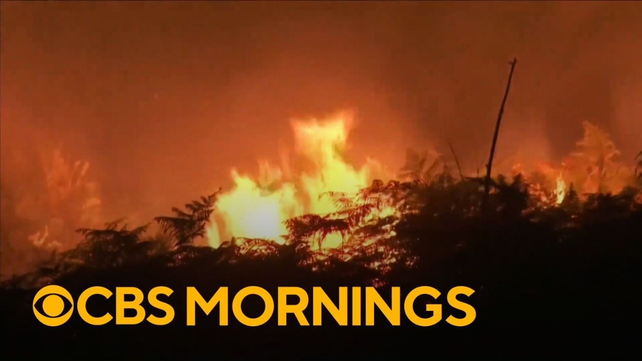 Wildfire forces more than 220,000 to evacuate in France, destroys over 200 homes
