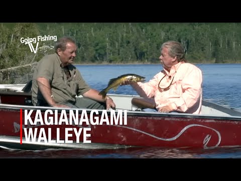 Walleye Adventure on Kagianagami Lake with Malcolm Leuenberger