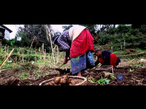 Himalayan HealthCare's Earthquake Relief Fund