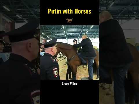 , title : 'Putin With Russian Horses 🐎🥰 #vladimirputin #russia #putin #putinvsbiden'