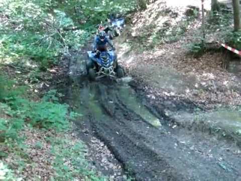 215.DEČKI  ŽUTNICE  -   Novi putevi 3.