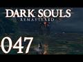 Dark Souls Remastered [047] - Kurze Motivation