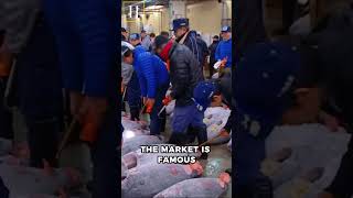 The world’s LARGEST fish market in Tokyo, Japan