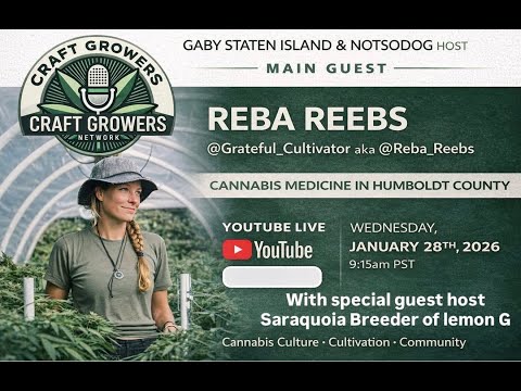 WOW Women Of Weed Featuring Reba Reebs w/ hosts Gaby SI Notso Dog and Saraquoia