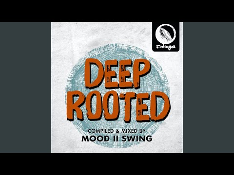 Believe (The Layabouts Vocal Mix)