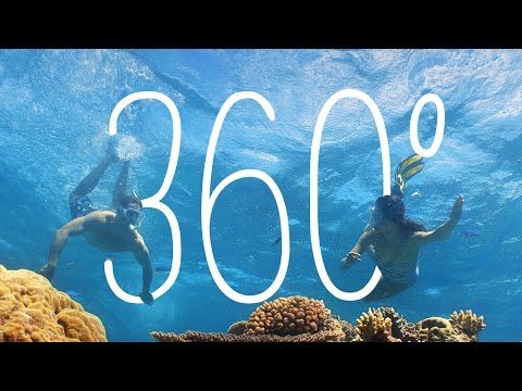 Vlasoff Cay, Great Barrier Reef, Queensland, Australia | 360 Video | Tourism Australia