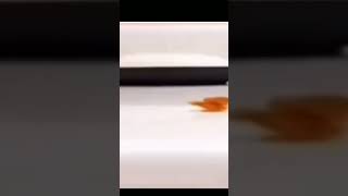 Is that #hitler? #shorts #funny #meme #5minscraft #beard #shaving #idk #plsviews