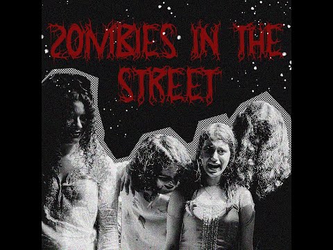 Zombies in the Street - Shanaya Rebelo