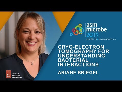 Cryo-Electron Tomography for understanding bacterial ...