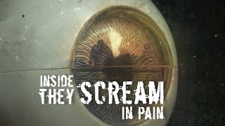 Bullet-Proof   Cold Sigh (Official Lyric Video)