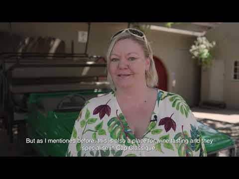 Guia interno de Stellenbosch - Vinhos Villiera