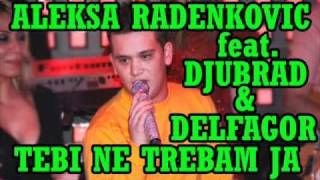 Aleksa Radenkovic feat Djubrad & Delfagor - Tebi ne trebam ja