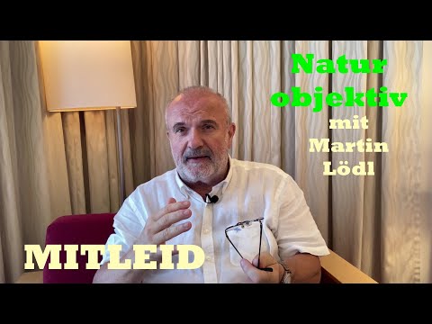 Mitleid - das unterschätzte Gefühl