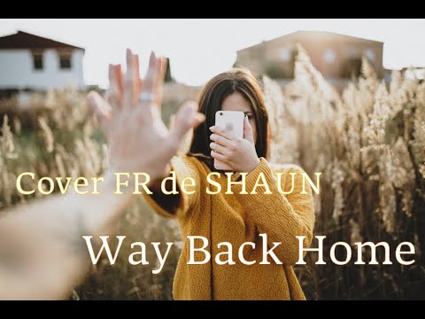 French cover of SHAUN (Way back home)