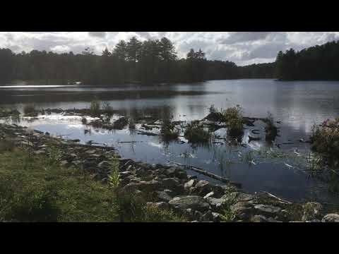 Video of Harold Parker State Forest Lorraine Park, MA from Alan