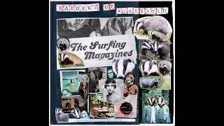 The Surfing Magazines - I Dreamed When I Was Young