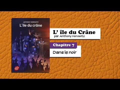 📙🔊 L'Ile du crane - chapitre 7 : Dans le noir / Livre audio