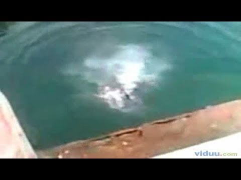 Cliff Diving Split Face