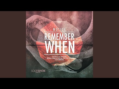 Remember When (Sierra Sam & Pascal Hetzel Analogue Remix)