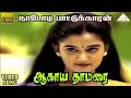 ஆகாய தாமரை HD Video Song நாடோடி பாட்டுக்காரன�