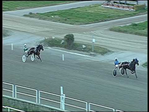 Trotto 03/03/2017 - prova di qualifica