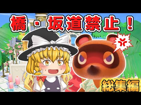 新しい外観のボックスウッドの広場 トピックス