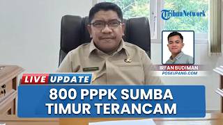 Sebanyak 800 PPPK Terancam Dirumahkan, Pemkab Sumba Timur Minta Solusi Langsung dari Pusat