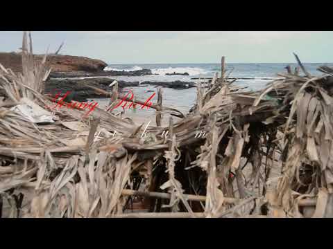 Young Rich -fugi ku mi (official video 2k19)