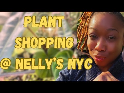 Plant Shopping in NYC is DIFFERENT