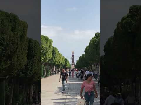 Avenida Habib Bourguiba - a rua mais famosa da Tunísia
