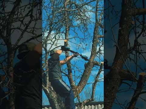 фото набор садового электроинструмента 4в1 со штангой 2 метра, цепная пила/секатор/воздуходувка + 2акб 0