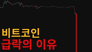 비트코인 급락을 미리 알았던 이유ㅣ비트코인 분석