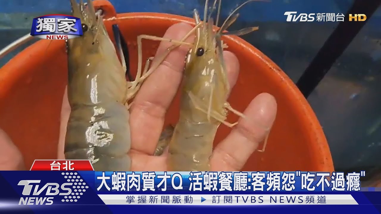 泰國蝦缺!來不及長大size縮半、每斤貴40元