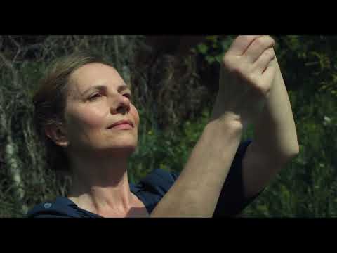 Trailer-Vorschau: Nebelkind - The End of Silence