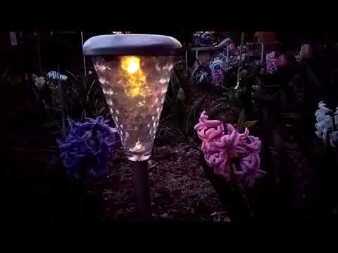 TP-Link Neffos X20 Pro - nocne