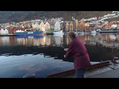 Bertil Svensson - Bergen (Robert Gustafsson)