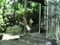 America Funniest Home Videos Ep2 P1