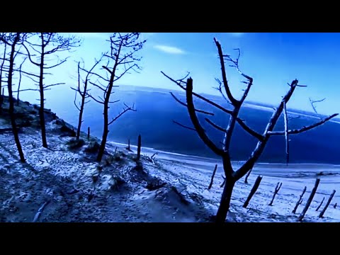 TANGERINE DREAM - THE SILENT GREEN SESSION.