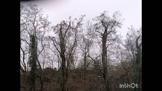 zinnsoldat goehter erben