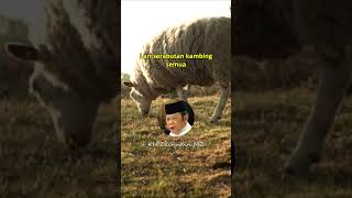 Download lagu Kambing nyasar mau lari kemana?...Ceramah lucu KH Zainudin MZ #ceramahlucu #katakatabijak mp3