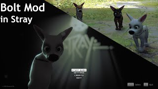 Bolt the Disney Dog in Stray as a Mod MrMarco1003 Mod