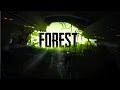 The Forest: INTRO CUTSCENE / Plane Crash Gameplay (2017 UPDATE)