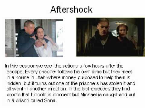 AVO-Bell Project C - level B1