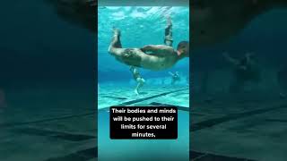 How Navy SEALS Survive Underwater