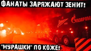 Фанаты Зенита! После такого «Зенит» обязан был выиграть! Зенит - Фенербахче 3:1