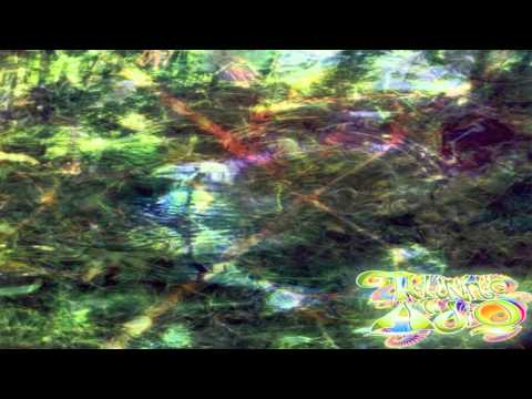 AnnoyingNinjas ۞ She-Man & CattleBat