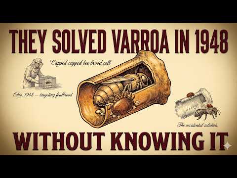 The 1948 Varroa Solution Nobody Knew Was a Varroa Solution