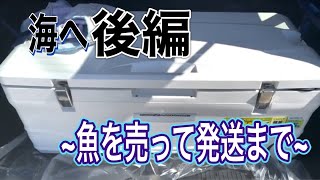 船で玄海灘へ〜『後編』3月12日　海　期待値！！釣った魚を売る　○○円〜