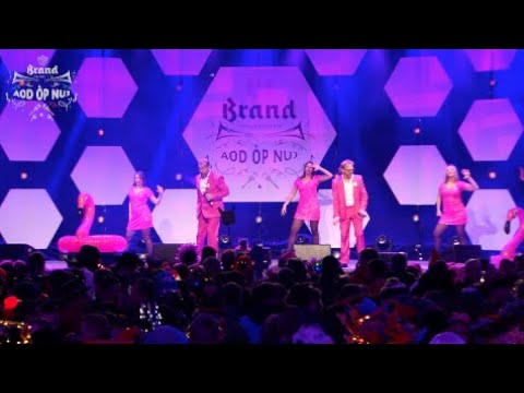 De Dörpsgekke - Ferry De Roze Flamingo (Aod òp Nuj 2019)